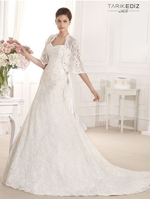 Vestidos de Novia - Encajes y Transparencias 2014