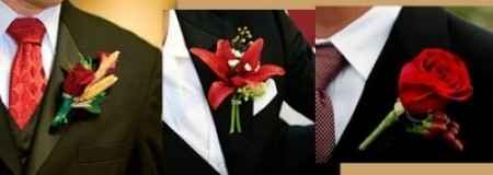 Boutonnier Novio