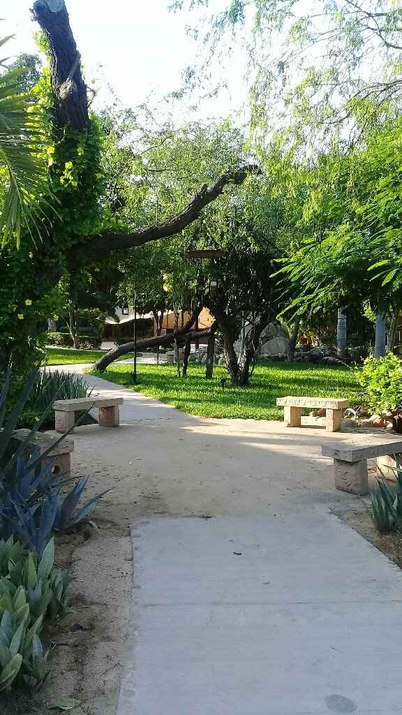 Donde tendrán su sesión de fotos de boda? - 1