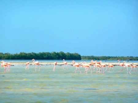 Luna de Miel en Holbox – Actividades