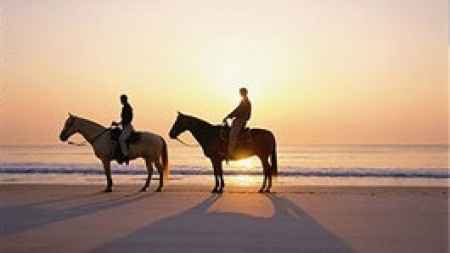 Luna de Miel en Holbox – Actividades