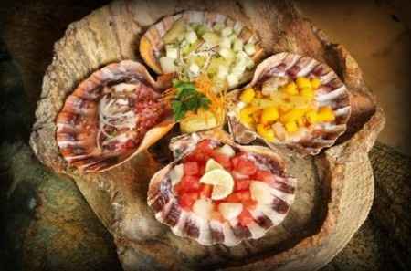 Luna de Miel en Holbox – Actividades