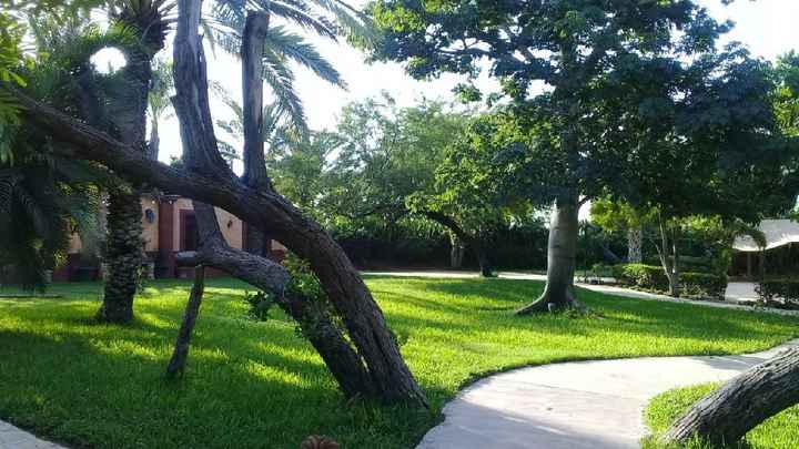 Que esté soleado!!!!! 😅🤔🙃😬🙈🌞 - 5