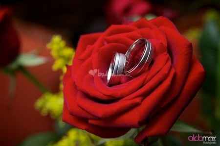 Ideas para inmortalizar las joyas matrimoniales