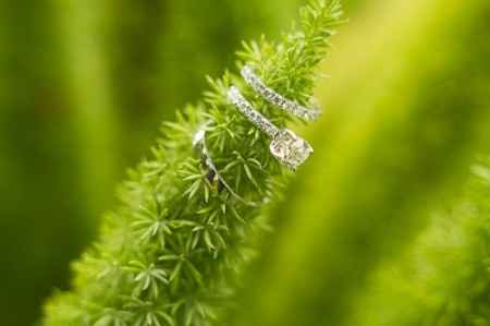 Ideas para inmortalizar las joyas matrimoniales