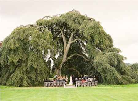 Inspiración: Boda con temática de San Patricio