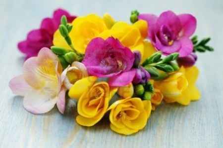 Flores resistentes al calor 