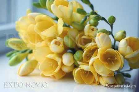 Flores resistentes al calor 