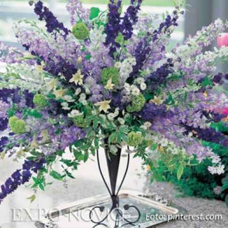 Flores resistentes al calor 