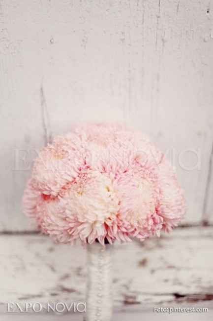 Flores resistentes al calor 