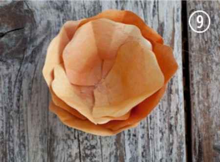 DIY: Flores Amapolas (Poppy)