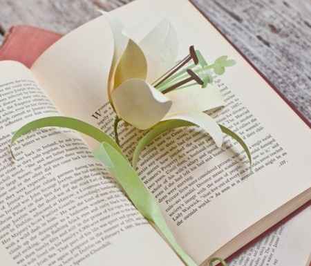 DIY: Flores Lilys