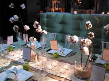 Boda con temática de Algodón