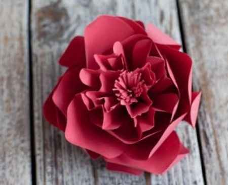 DIY: Flores Peonias