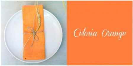 Colores para Bodas en la Primavera 2014