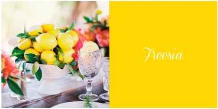 Colores para Bodas en la Primavera 2014
