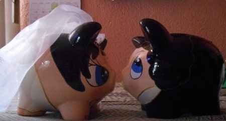 Mis Cochinitos Novios!!!