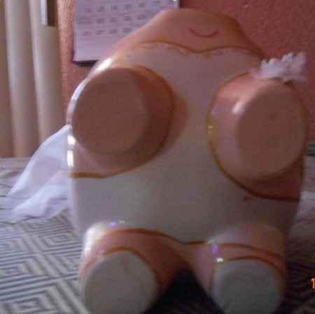 Mis Cochinitos Novios!!!
