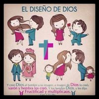 El diseño de Dios
