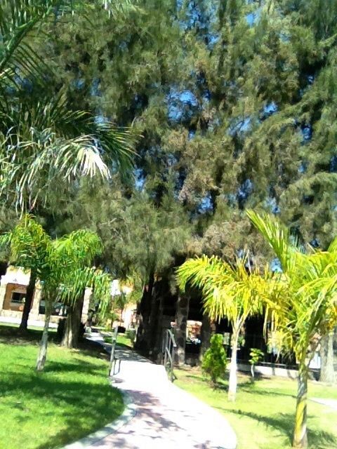 El lugar perfecto para la recepcion - 1