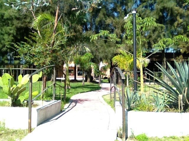 El lugar perfecto para la recepcion - 4