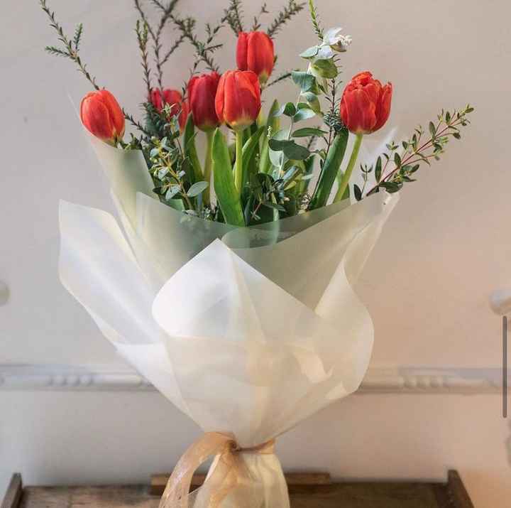 Tulipanes 