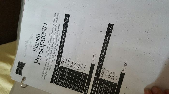 Mi wedding planner - 5