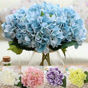 Significado de las flores en una boda💐🌹🌸🍀🌺🌼 10