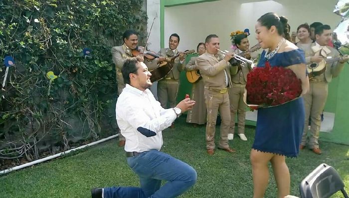 Propuesta de matrimonio - 1