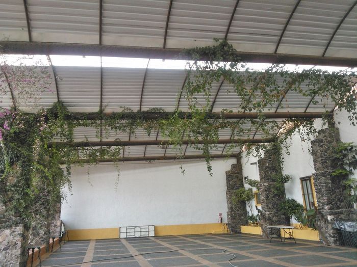 terraza