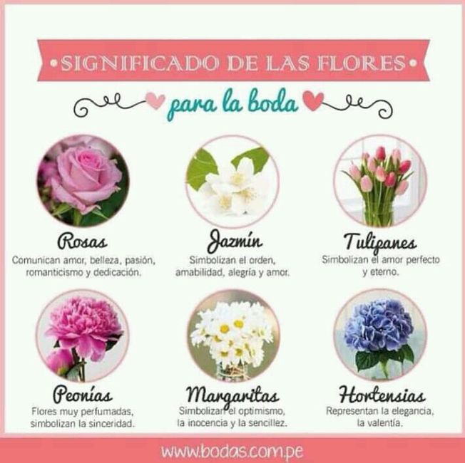 Flores, las que nos dan la esperanza de la primavera - 1