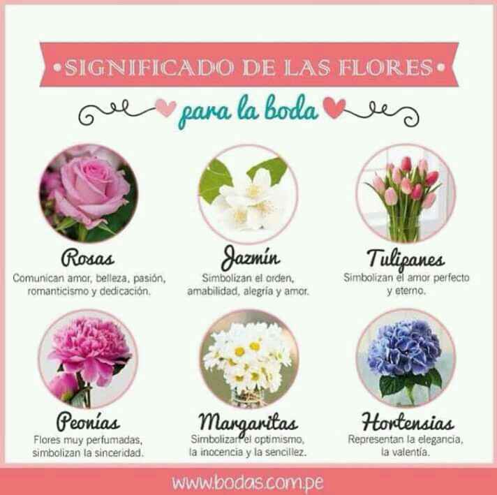 Flores, las que nos dan la esperanza de la primavera - 1