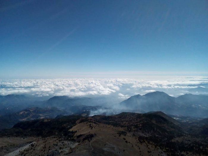 ¡Collage de las pedidas de mano de Bodas.com.mx! - 1