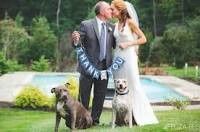 Sesión de fotografía con tus mascotas. ¡me encanta! - 1