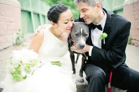 Sesión de fotografía con tus mascotas. ¡me encanta! - 3