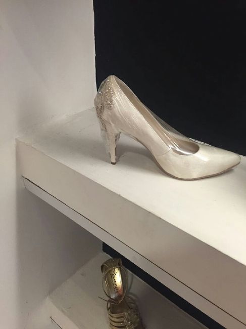 Los zapatos que ame! - 2