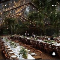 Boda en bosque o campestre - 1