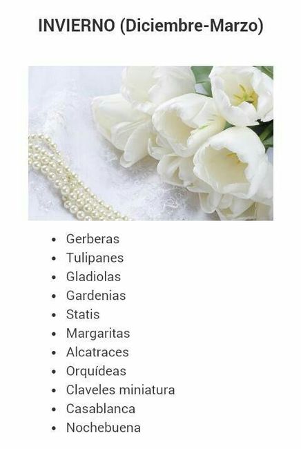Flores en invierno. - 1