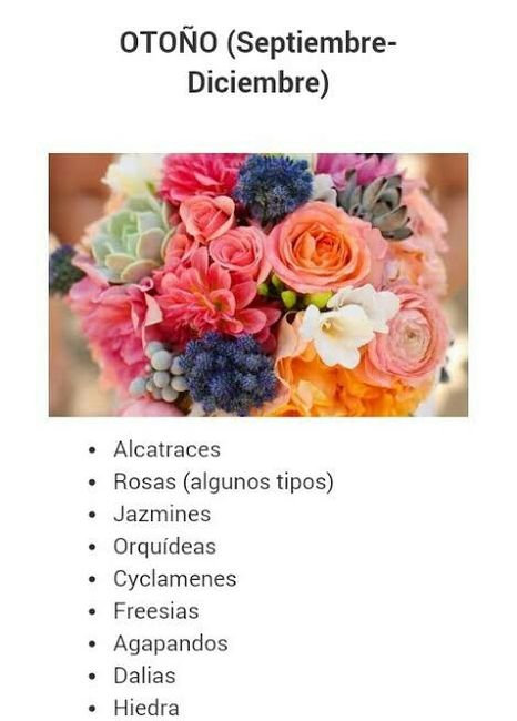 Flores en invierno. - 2