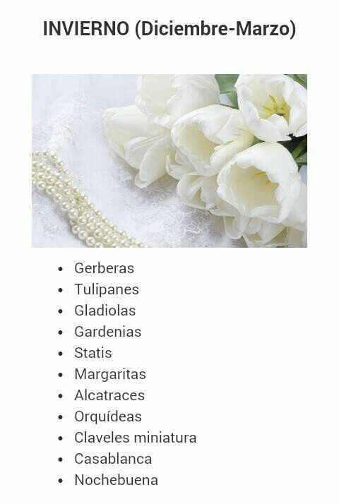 Flores en invierno. - 1