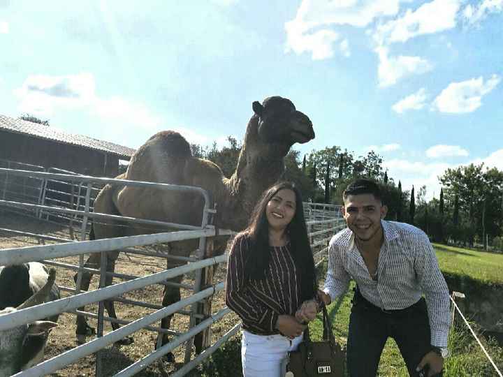 100% Enamorada 😍💑🐒🐅🍃 - 5