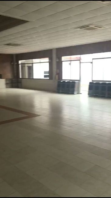 ¿qué les parece este presupuesto? - 1