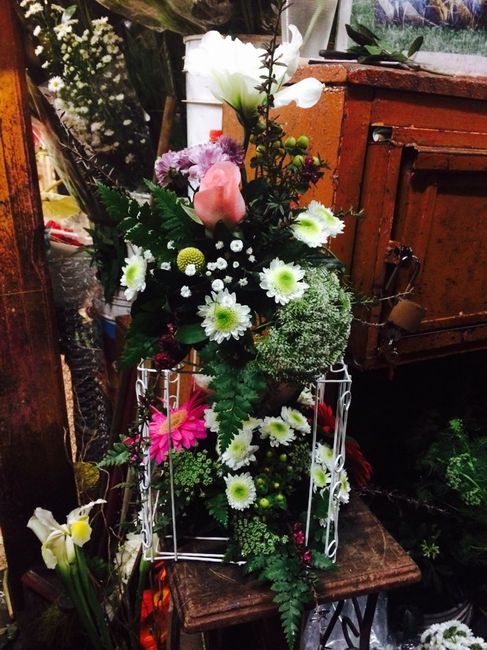 Jaulas y luces... - 1