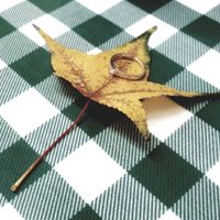 Último paso: ¡Comparte tu frase favorita de amor! - 1