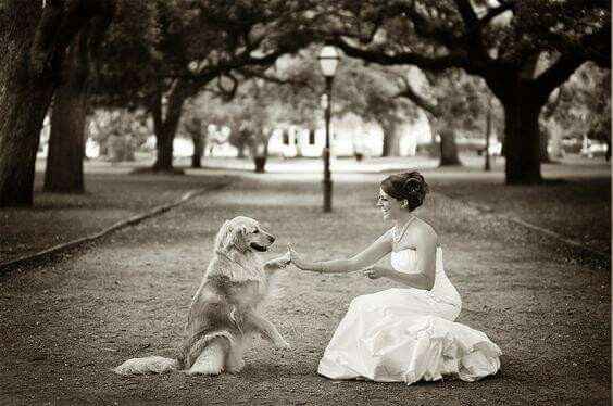 Para quienes tienen mascotas!!! - 5