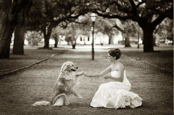 Para quienes tienen mascotas!!! - 5