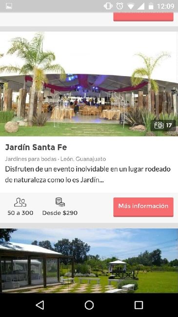 Jardines o salones abiertos en León! - 5