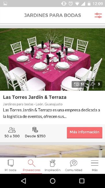 Jardines o salones abiertos en León! - 7