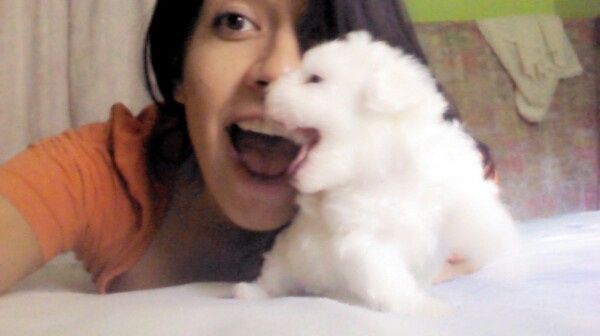 Preséntense novias preciosas! - 2