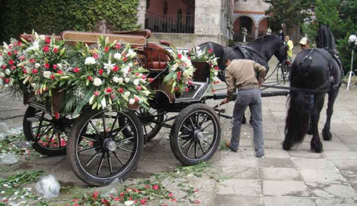 Carruajes - 9